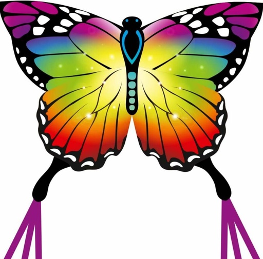 [102223] Cerf volant - Ecoline Butterfly Rainbow Sárkány