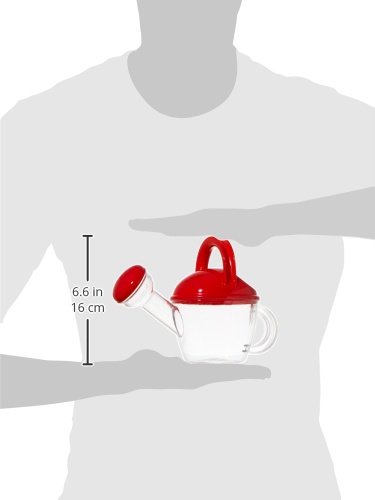 Arrosoir Transparent 0,5L 