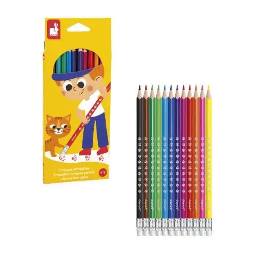[J07414] Crayons effaçables X12