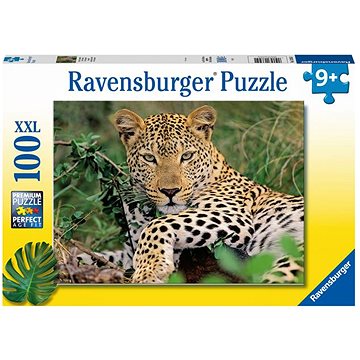 Puzzle Le léopard - 100pc XXL
