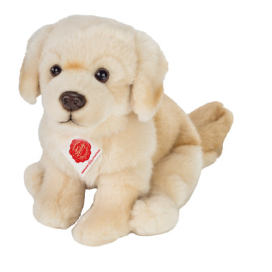 Golden Retriever peluche 25 Cm
