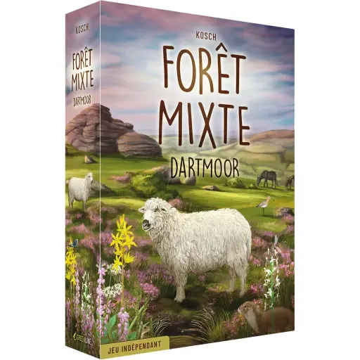Forêt Mixte - Dartmoor