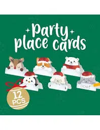 Set de 12 marque place pour Noël