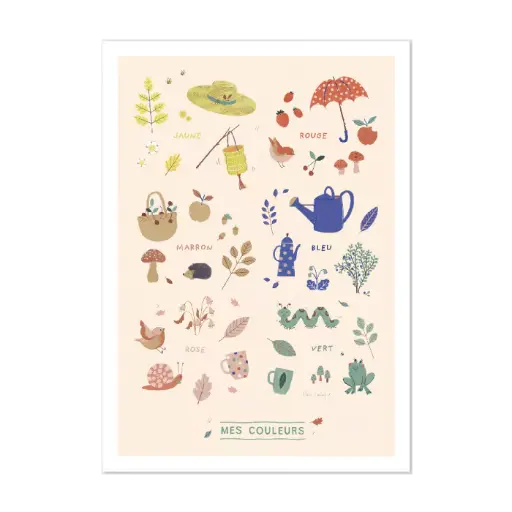 [675131] Affiche Couleurs 50x70cm Pomme des bois