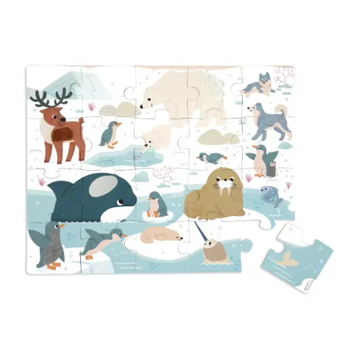 [J02493] Puzzle tactile Pôles polaires