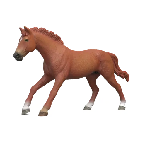 [14915] Étalon pur-sang Anglais