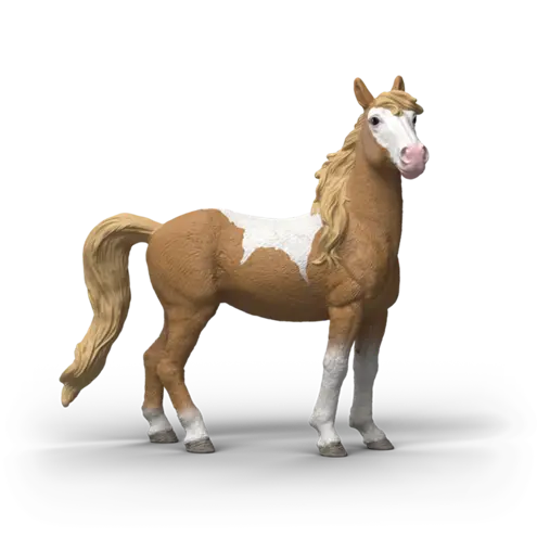 [14920] Jument Mustang