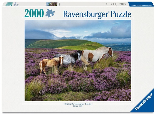 [120017516] Puzzle 2000pcs Chevaux sauvages dans la bruyères