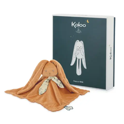 [k218037] Doudou lapin abricot